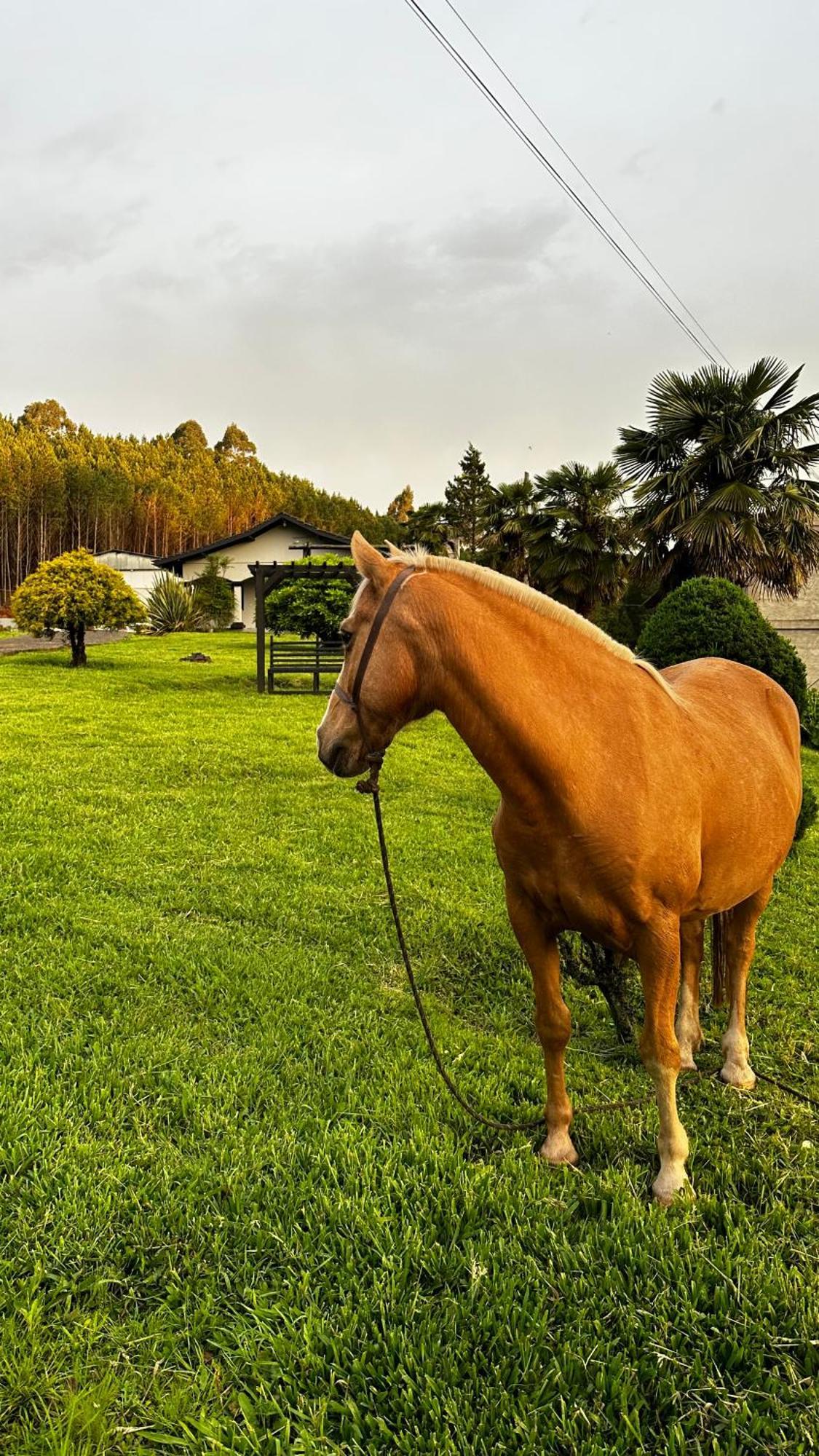 Pousada Serra & Jardim Bom Jardim da Serra Zewnętrze zdjęcie